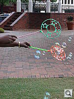 Click to see YDSC00813.JPG