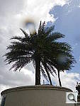 Click to see YIMGP0256.JPG