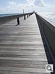 Click to see YIMGP0270.JPG