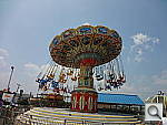 Click to see YDSC00529.JPG