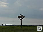 Click to see YDSC00748.JPG
