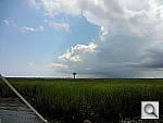 Click to see YDSC00749.JPG