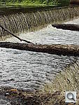 Click to see YDSC00272.JPG