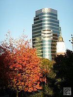 Click to see YX1PICT0023.JPG