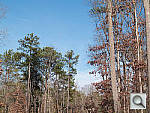 Click to see X10PINE_ACRu500r06.JPG