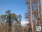 Click to see X10PINE_RFC.JPG