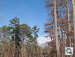 Click to see X10PINE_RFCu500r06.JPG