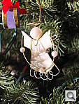 Click to see YDSCF8050.JPG