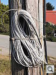 Click to see YDSCF8098.JPG