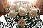 Click to see YDSCF8309.JPG