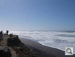 Click to see YDSCF8423.JPG