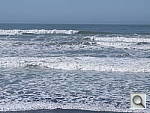 Click to see YDSCF8426.JPG