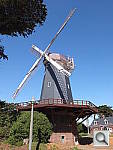 Click to see YDSCF8431.JPG