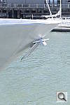 Click to see YDSCF8481.JPG