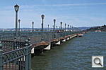 Click to see YDSCF8494.JPG