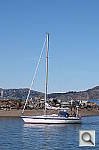 Click to see YS0438277.JPG
