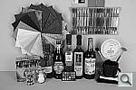 Click to see X100hSLCOL_BNW.JPG