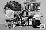 Click to see X100hSLCOL_BNW_G.JPG