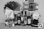 Click to see X100hSLCOL_BNW_R.JPG
