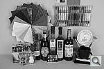 Click to see X100hSLCOL_BNW_Y.JPG