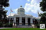 Click to see YDSCF7797.JPG
