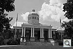 Click to see YDSCF7800.JPG