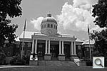 Click to see YDSCF7801.JPG