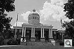 Click to see YDSCF7802.JPG