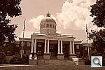 Click to see YDSCF7803.JPG
