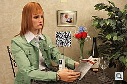 Click to see X100INBTP1.JPG