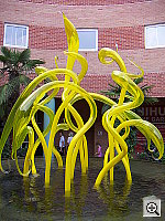 Click to see YPICT0311.JPG