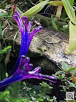 Click to see YPICT0325.JPG