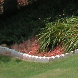 Sony DSC-T33 digital camera image