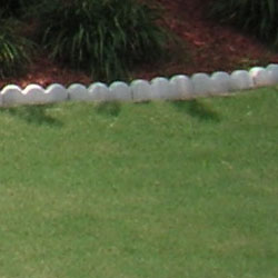 Sony DSC-T33 digital camera image