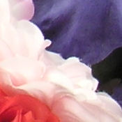 Sony DSC-T33 digital camera image