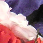 Sony DSC-T33 digital camera image