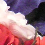 Sony DSC-T33 digital camera image