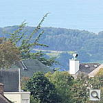 Click to see YDSCF5023.JPG