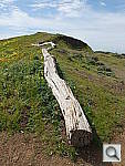 Click to see YDSCF5035.JPG
