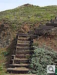 Click to see YDSCF5037.JPG