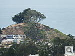 Click to see YDSCF5043.JPG