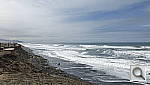Click to see Y_DSF5081.JPG