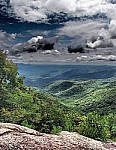 Click to see YAP8010142.JPG