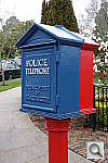 Click to see YP4150434.JPG