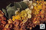 Click to see YP4180500.JPG