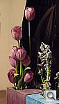 Click to see YP4180523.JPG