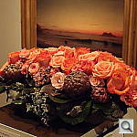 Click to see YP4180565.JPG