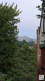 Click to see YCIMG1533.JPG