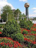 Click to see YPICT0002.JPG