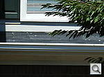 Click to see Z20FDFARWTDT.jpg
